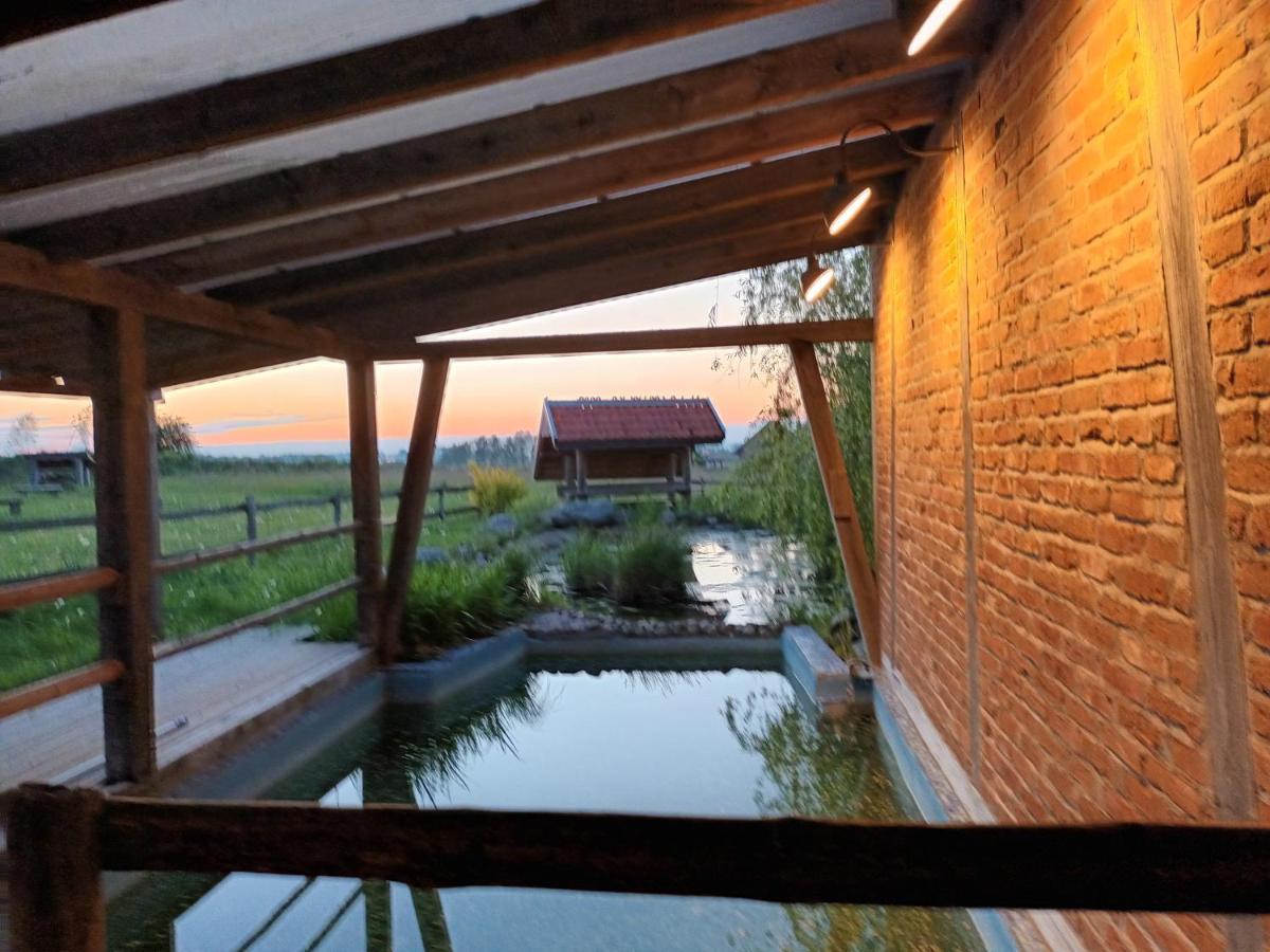 Dom HABASS Villa Zdory Eksteriør bilde